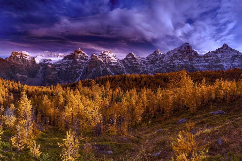 Larch Valley – Looming Clouds