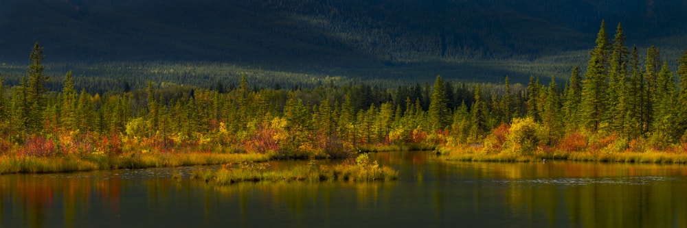 The Pond in Fall array